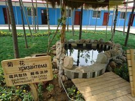 南戴河小魚溫泉 南戴河小魚溫泉