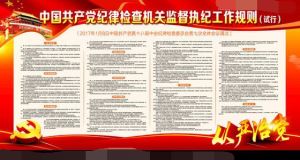 紀律檢查 紀律檢查