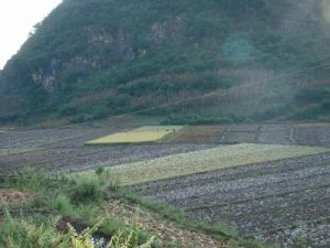 阿舍彝族鄉 阿舍彝族鄉