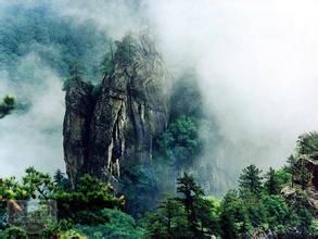 青龍騰雲 青龍騰雲