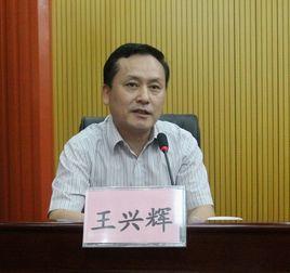 王興輝[廣西廣播電視大學校長]