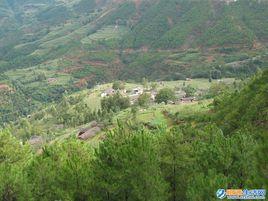 油房村[雲南巧家縣茂租鄉下轄村]