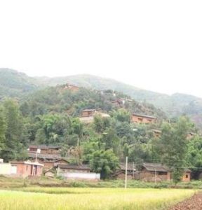 治本地村 治本地村