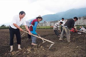 仁里邑村的村民正在抓緊種植大蒜