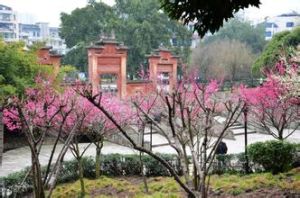 紫竹公園 紫竹公園