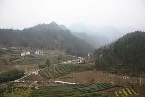 聶家灣中藥材建設基地 聶家灣中藥材建設基地