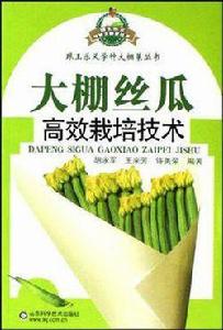 大棚絲瓜高效栽培 大棚絲瓜高效栽培