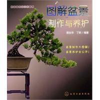 圖解盆景製作與養護 圖解盆景製作與養護