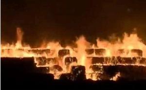 5·31天津濱海新區火災事故 5·31天津濱海新區火災事故