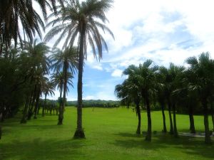 我在墾丁*天氣晴