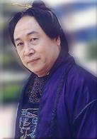 《熱血忠魂之獨行侍衛》