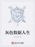 灰色數據人生 灰色數據人生