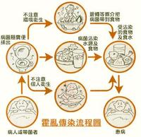 傳染效應 傳染效應