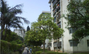 東樂花園 東樂花園