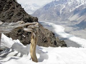 巴托拉冰川 巴托拉冰川