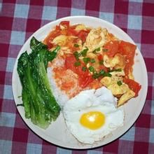 番茄炒蛋蓋飯 番茄炒蛋蓋飯