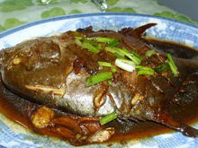 金昌魚