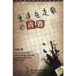 重逢在走散的青春 重逢在走散的青春