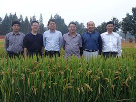 農業部信陽作物有害生物科學觀測實驗站 農業部信陽作物有害生物科學觀測實驗站