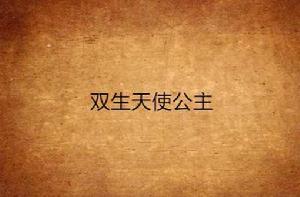 雙生天使公主 雙生天使公主