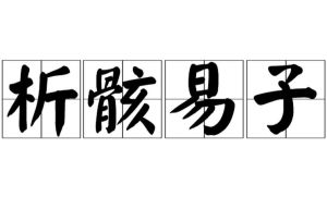 析骸易子 析骸易子