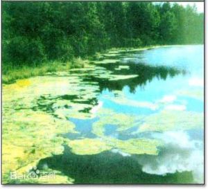 富化作用 富化作用