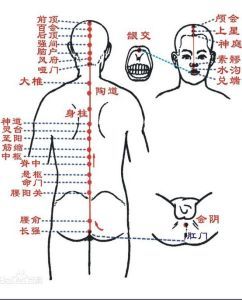 人體經脈 人體經脈