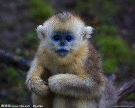 現巧招禍 現巧招禍