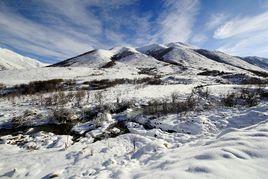 鷓鴣山自然公園 鷓鴣山自然公園