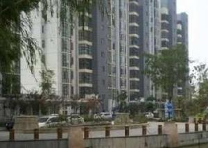 中南海知音 中南海知音