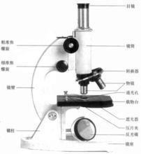 簡易顯微鏡結構圖