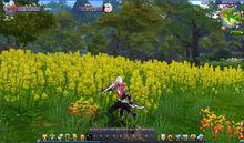 《狐狸三國》墨者