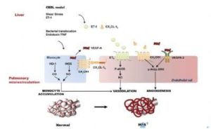 生理中性鹽 生理中性鹽
