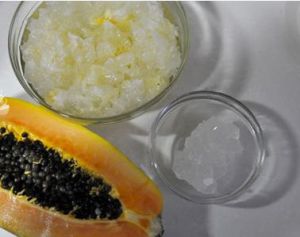 鮮木瓜燉銀耳 鮮木瓜燉銀耳