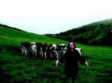 歐查得農莊 歐查得農莊