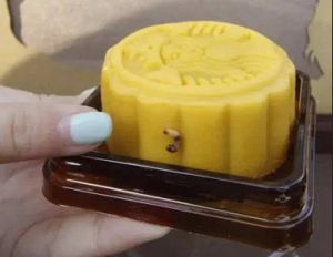 活蟲月餅 活蟲月餅