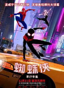 蜘蛛俠:平行宇宙 蜘蛛俠:平行宇宙