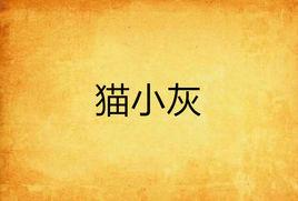 貓小灰 貓小灰