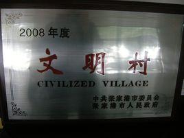 城西村[江蘇省張家港市楊舍鎮下轄村]