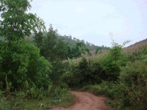 文度自然村 文度自然村