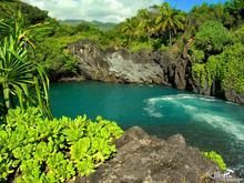 夏威夷熱帶植物園 夏威夷熱帶植物園