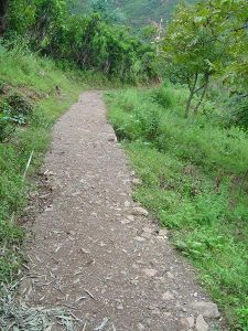 大佛山廠村 大佛山廠村