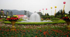 漳州東南花都 漳州東南花都