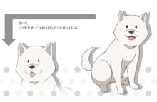 珈百璃的墮落[動畫工房改編的電視動畫]