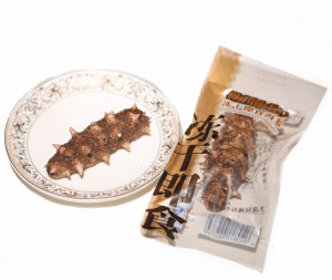 凍乾海參 凍乾海參