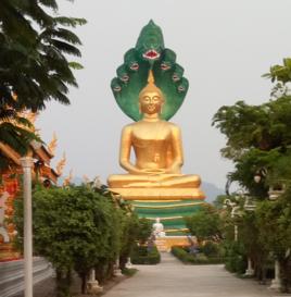 東協華僑城 東協華僑城