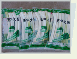 圖1 包裝上市的正寧大蔥