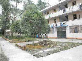 名山縣第三中學 名山縣第三中學