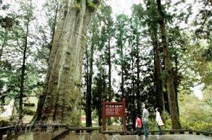 《這裡發現愛》