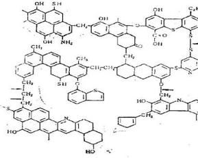 結構單元 結構單元